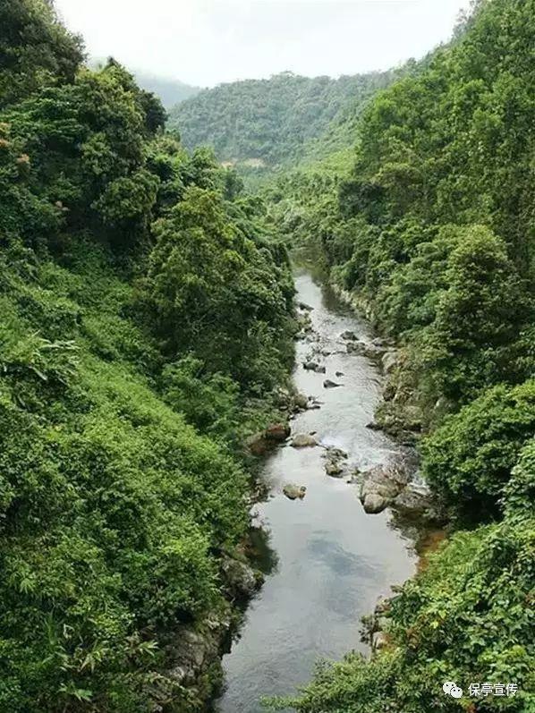 沪江开心词场