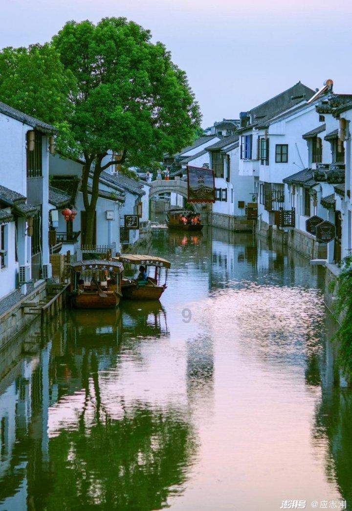 月光影视
