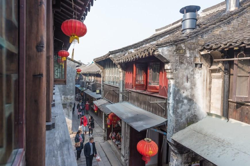 猫为什么见到狗就呲牙-分享美食、旅行、生活点滴的红迪网